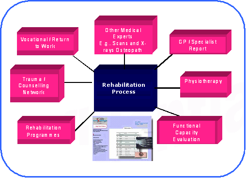 Integration in der Arbeitsmedizin und case management